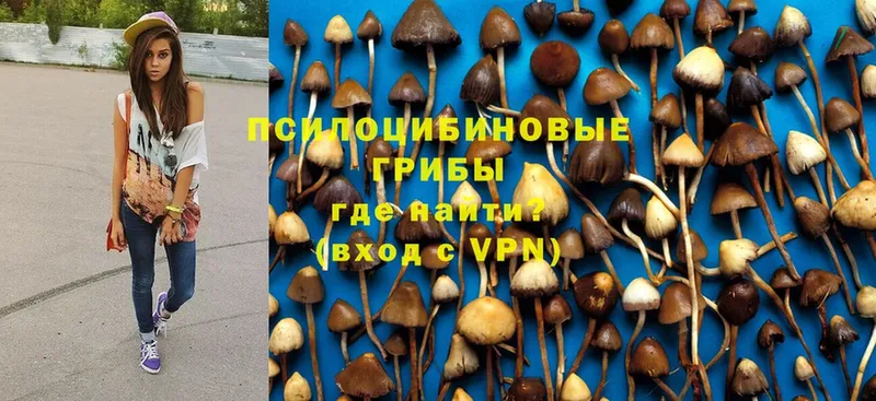 купить закладку  нарко площадка формула  Галлюциногенные грибы прущие грибы  Северск 